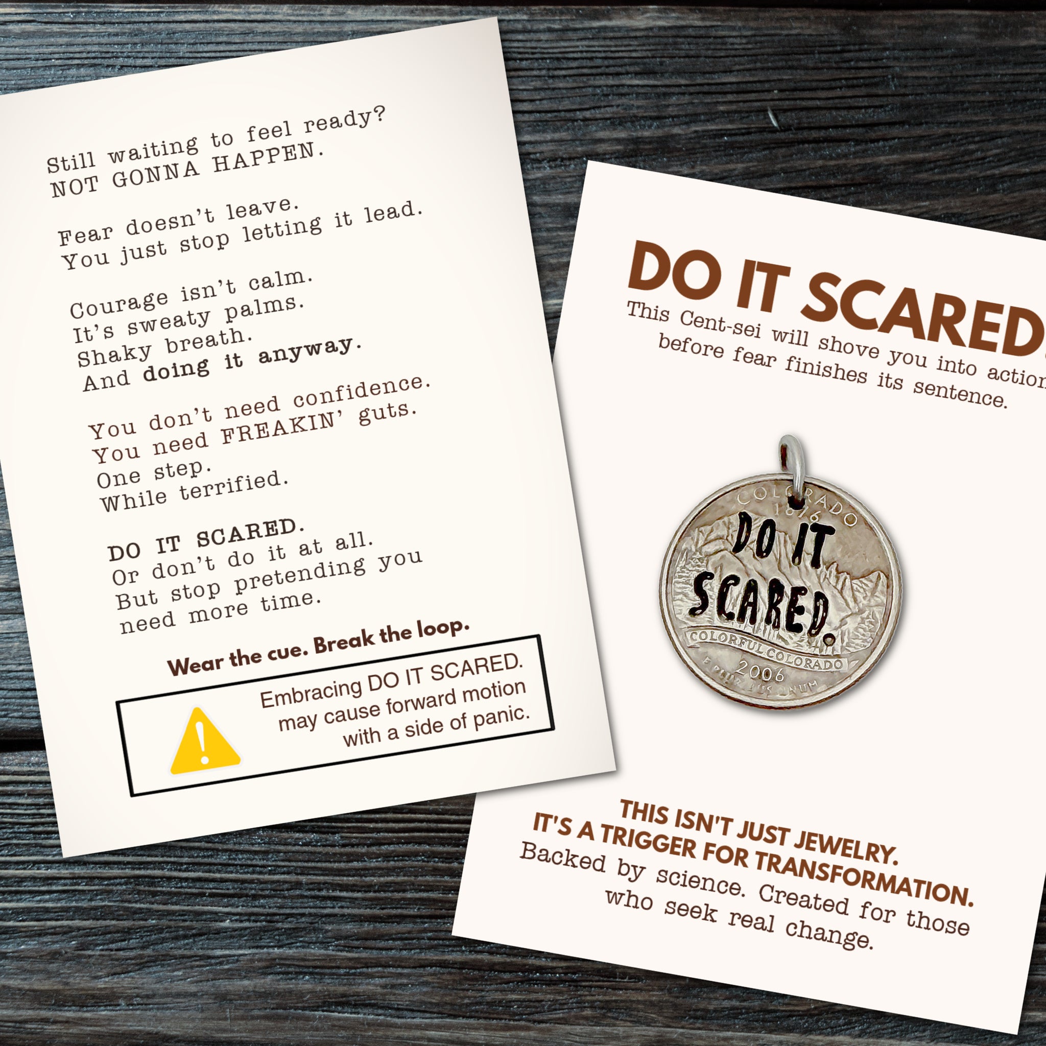 DO IT SCARED. Fear doesn’t leave. You just stop letting it lead.