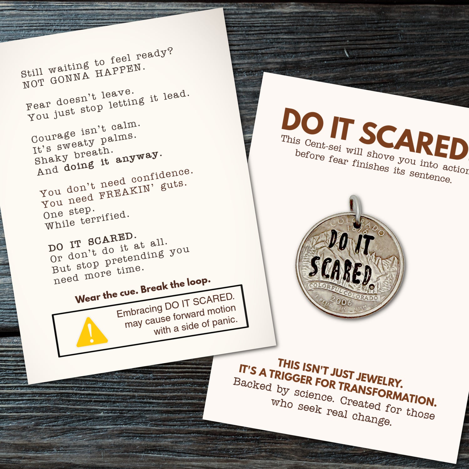 DO IT SCARED. Fear doesn’t leave. You just stop letting it lead.
