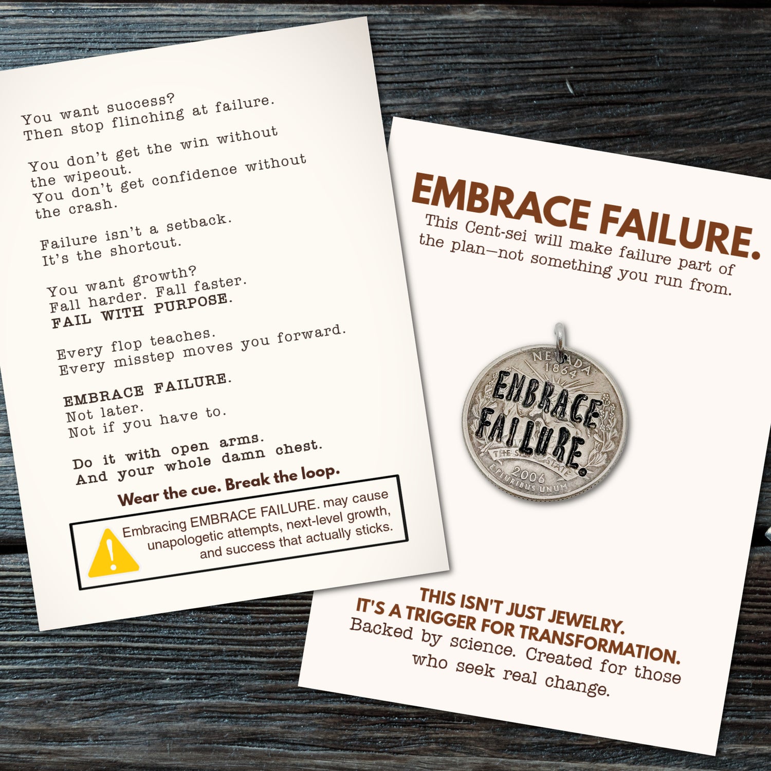 EMBRACE FAILURE. Because falling down isn’t the problem—staying down is.