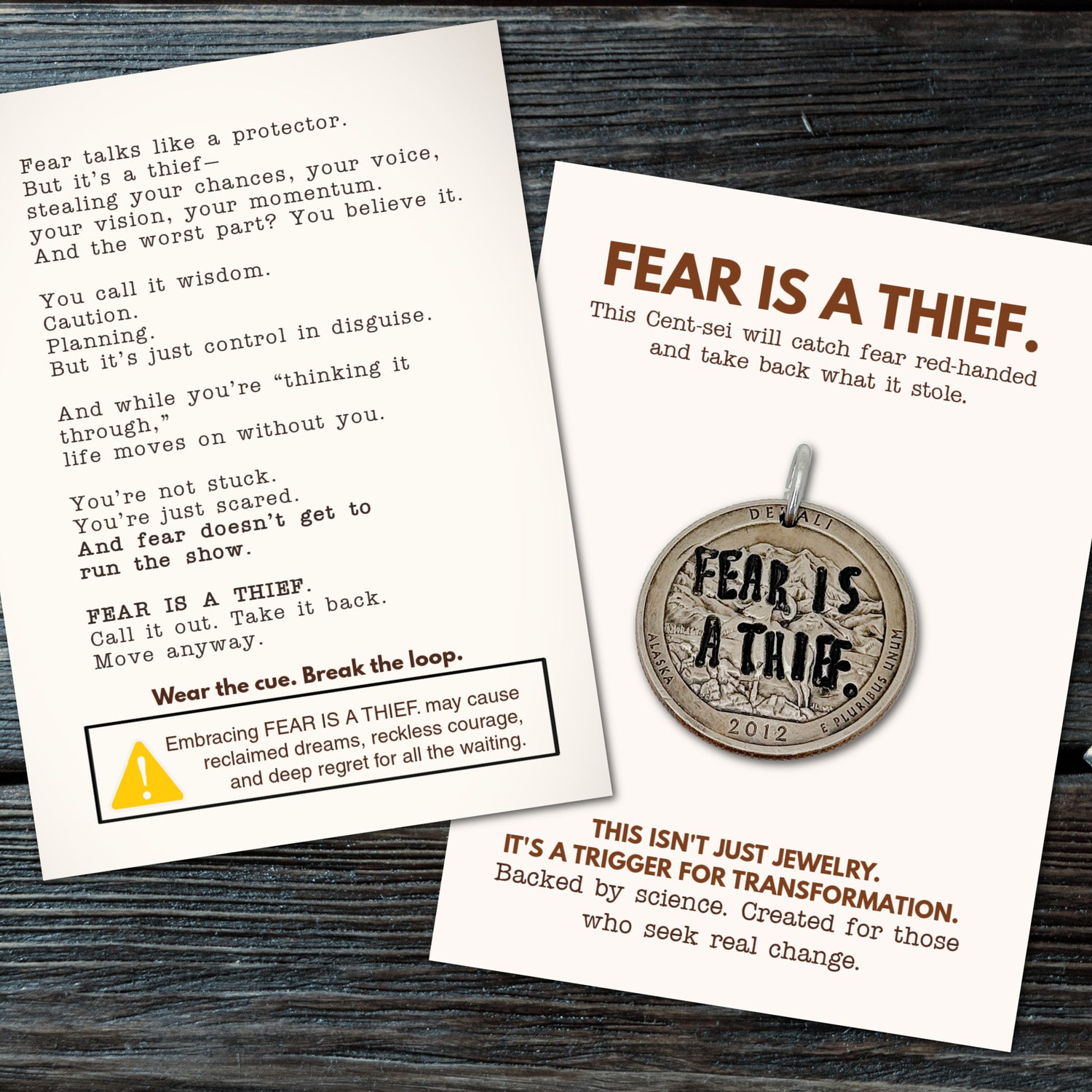 FEAR IS A THIEF. It stole your voice. Your vision. Your momentum. Time to take it back.