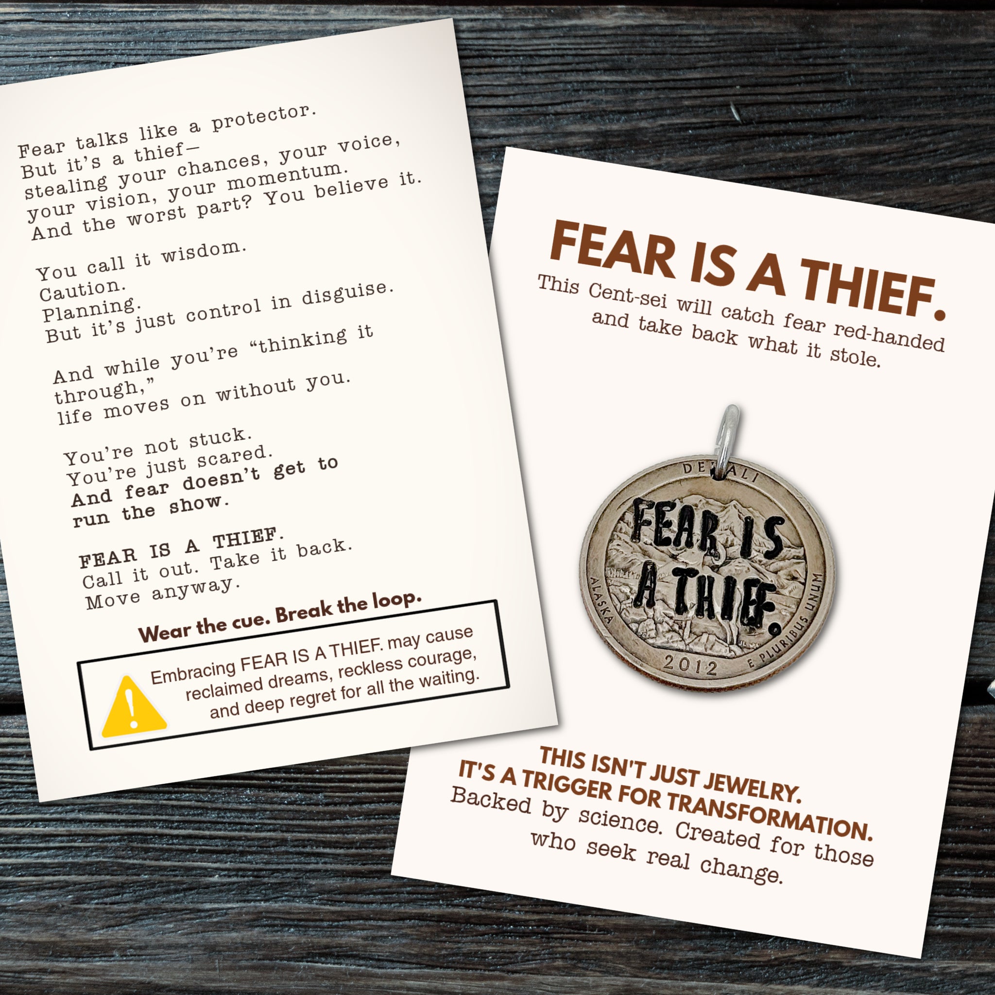 FEAR IS A THIEF. It stole your voice. Your vision. Your momentum. Time to take it back.